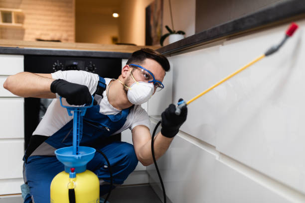 Best Termite Control Services  in Camp Croft, SC