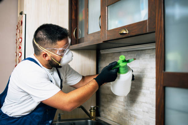 Best Mosquito Control Services  in Camp Croft, SC