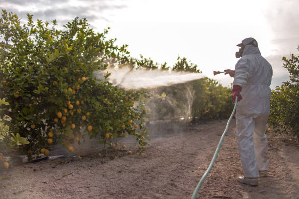 Best Cockroach Control Services  in Camp Croft, SC