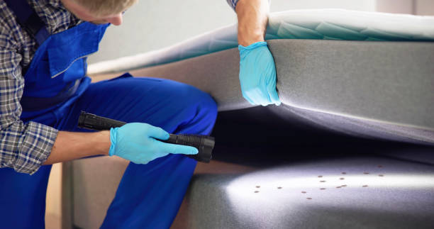 Best Wasp Removal Services  in Camp Croft, SC