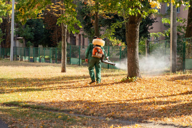 Best Best Pest Control Companies  in Camp Croft, SC