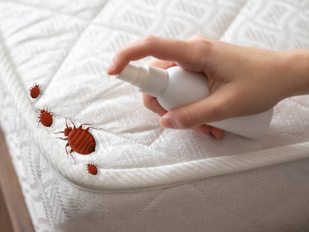 Best Best Pest Control Near Me  in Camp Croft, SC