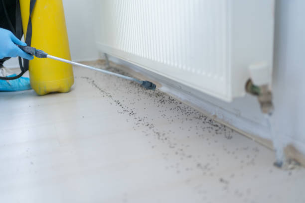 Reliable Camp Croft, SC Pest Control Solutions