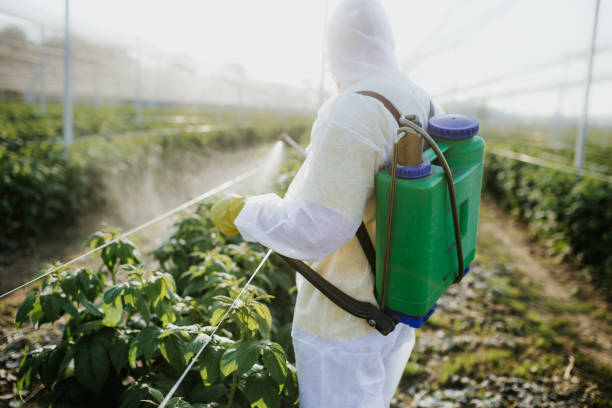 Best Pest Inspection Near Me  in Camp Croft, SC